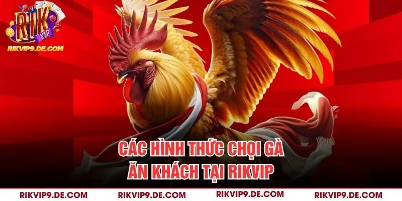 Các hình thức chọi gà ăn khách tại Rikvip