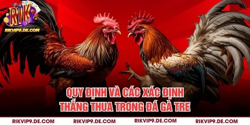 Quy định và các xác định thắng thua trong đá gà tre
