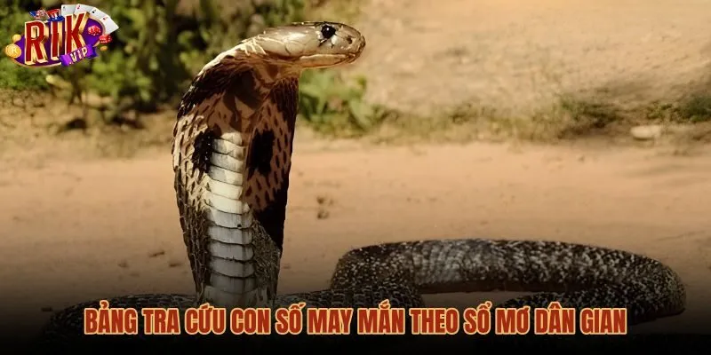 bang-tra-cuu-con-so-may-man-theo-so-mo-dan-gian Bảng tra cứu con số may mắn khi mơ thấy rắn