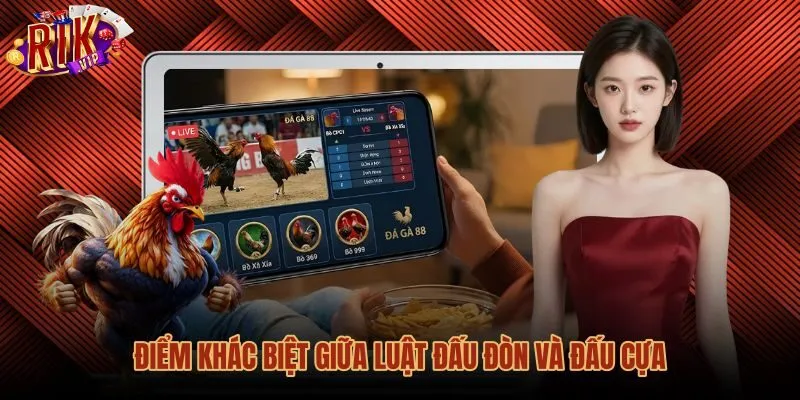 Quy luật đá gà giữa hai thể thức đòn và cựa