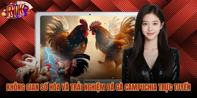 khong-gian-so-hoa-va-trai-nghiem-da-ga-campuchia-truc-tuyen Quá trình số hóa các trận đá gà Campuchia trên nền tảng trực tuyến