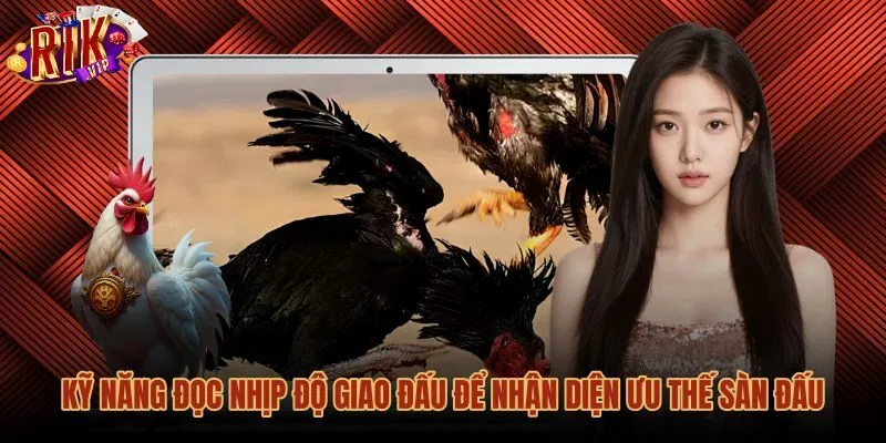 ky-nang-doc-nhip-do-giao-dau-de-nhan-dien-uu-the-san-dau Mẹo đá gà theo dõi nhịp độ và cự ly sàn đấu