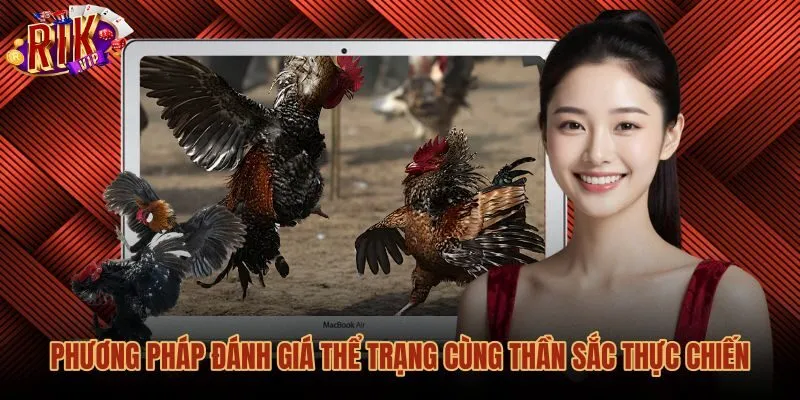 phuong-phap-danh-gia-the-trang-cung-than-sac-thuc-chien Mẹo đá gà đối chiếu nhịp thở cùng sắc tố da