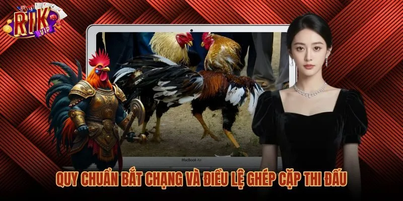 Quy luật đá gà qua nguyên tắc bắt chạng ghép cặp